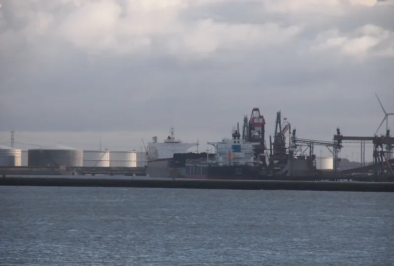 JIN TAI FENG Bulk Carrier IMO 9532642 photo 10