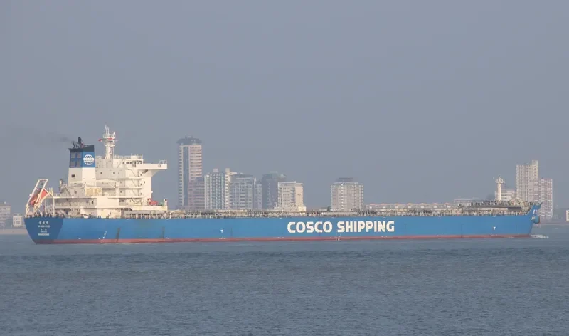 JIN WEN FENG Bulk Carrier IMO 9532666