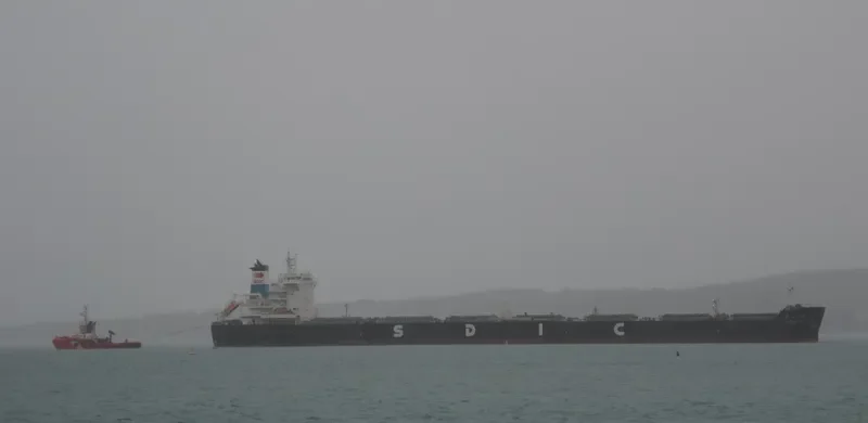 JIN WEN FENG Bulk Carrier IMO 9532666 photo 3