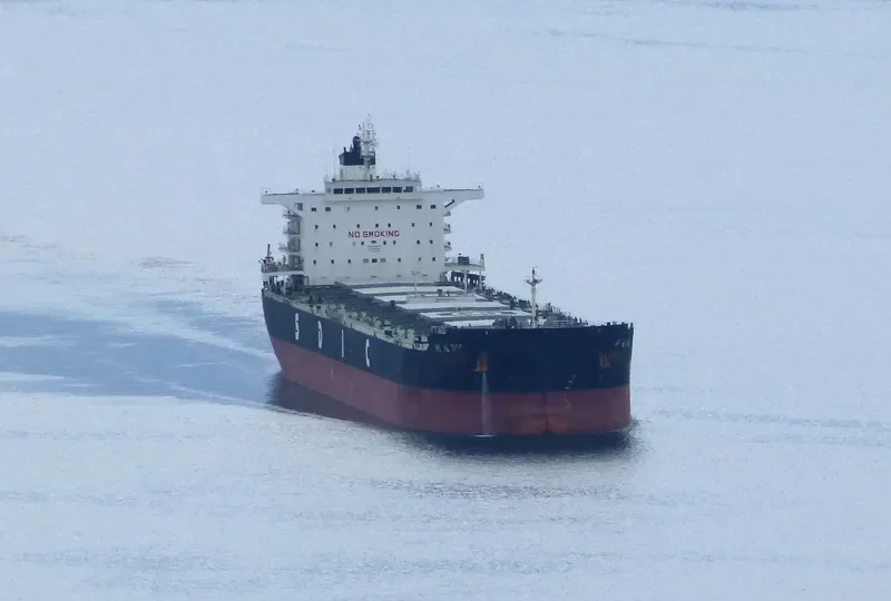JIN HUA FENG Bulk Carrier IMO 9532678 photo 8