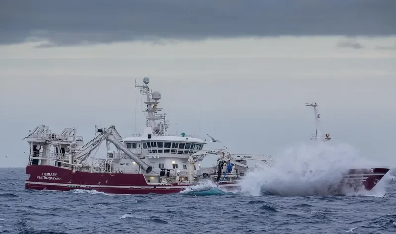 HEIMAEY General Cargo IMO 9532707 photo 7