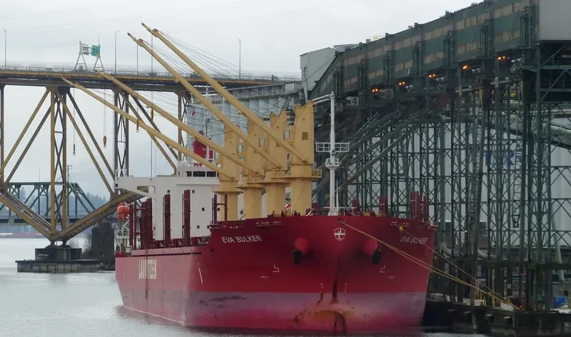PATRIOT SW General Cargo IMO 9532848 photo 7