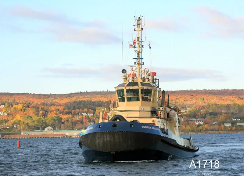 OCEAN RAYNALD T General Cargo IMO 9533048 photo 7