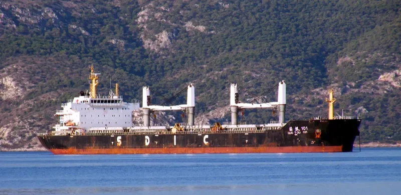 GUO TOU 101 Bulk Carrier IMO 9533062