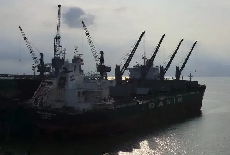 MANDARIN DALIAN Bulk Carrier IMO 9533359 photo 6