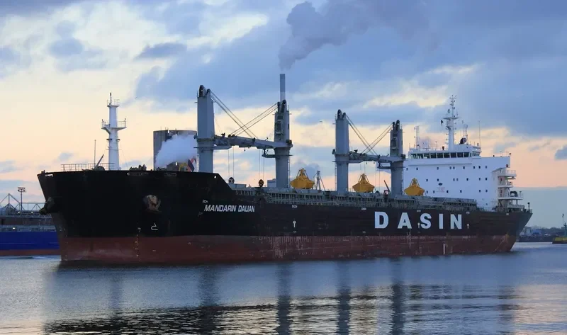 MANDARIN DALIAN Bulk Carrier IMO 9533359 photo 7