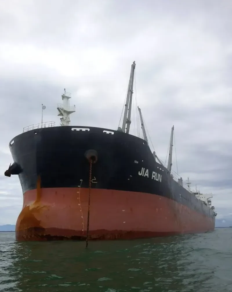 JIA RUN Bulk Carrier IMO 9533361