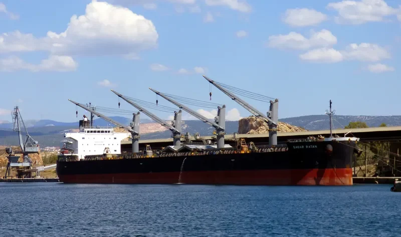 SAGAR RATAN Bulk Carrier IMO 9533438 photo 2