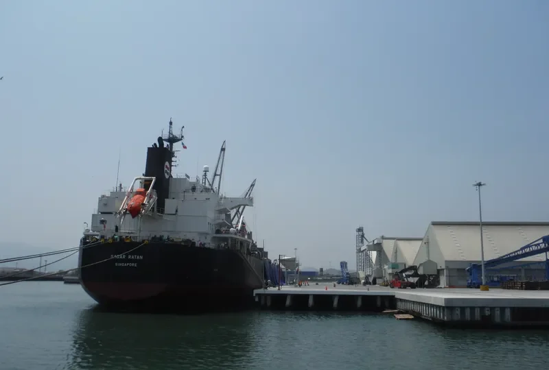 SAGAR RATAN Bulk Carrier IMO 9533438 photo 3