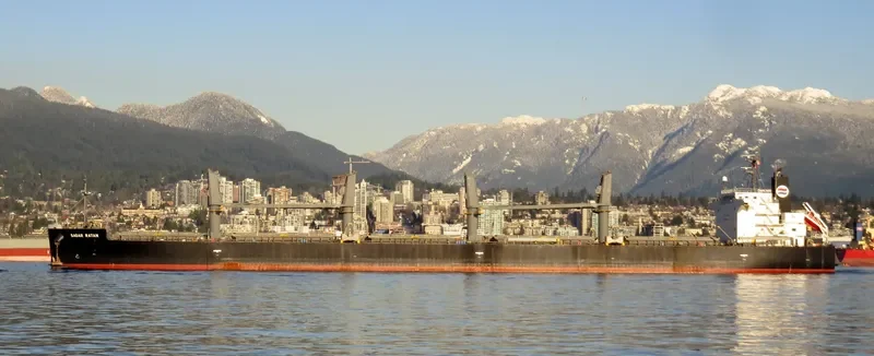 SAGAR RATAN Bulk Carrier IMO 9533438 photo 7