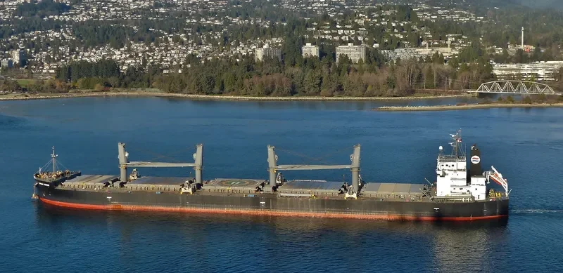 SAGAR RATAN Bulk Carrier IMO 9533438 photo 9