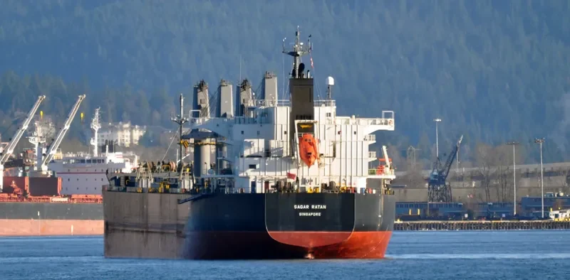 SAGAR RATAN Bulk Carrier IMO 9533438 photo 10