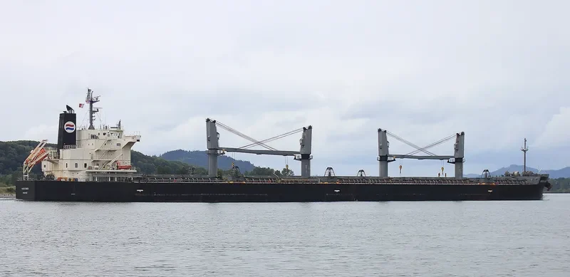 SAGAR KANTA Bulk Carrier IMO 9533440 photo 3