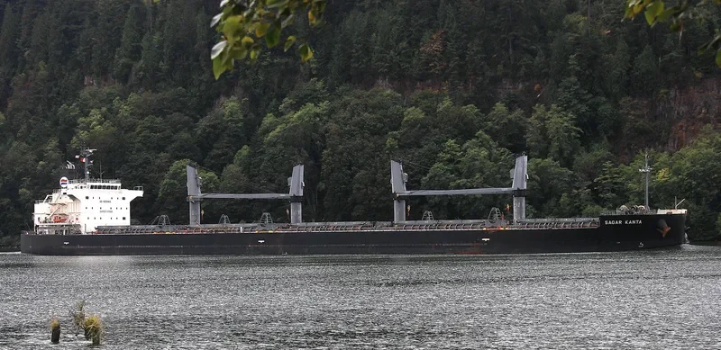 SAGAR KANTA Bulk Carrier IMO 9533440 photo 4