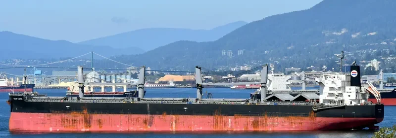 SAGAR KANTA Bulk Carrier IMO 9533440 photo 8
