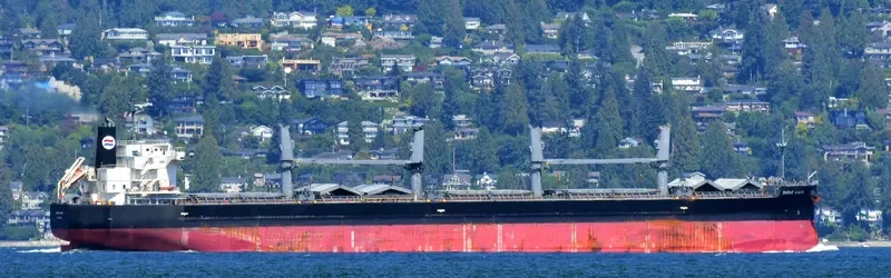 SAGAR KANTA Bulk Carrier IMO 9533440 photo 10