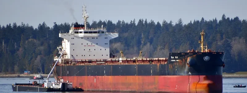VISHVA PREETI Bulk Carrier IMO 9533490 photo 2