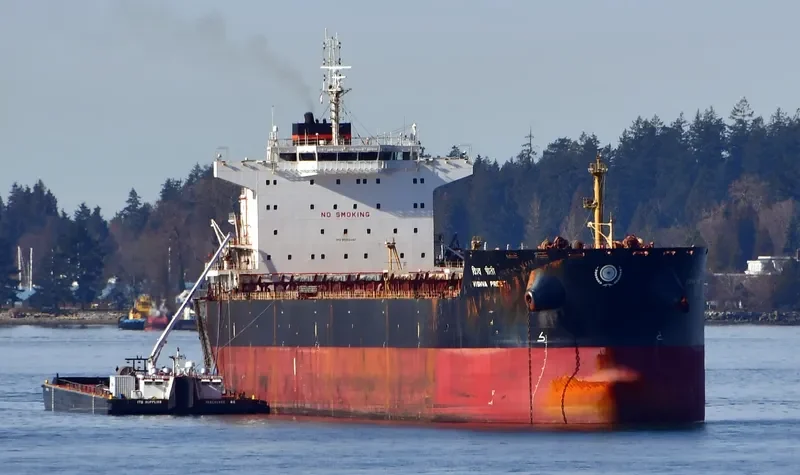 VISHVA PREETI Bulk Carrier IMO 9533490 photo 3