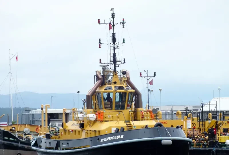 SD DEPENDABLE General Cargo IMO 9533804 photo 9
