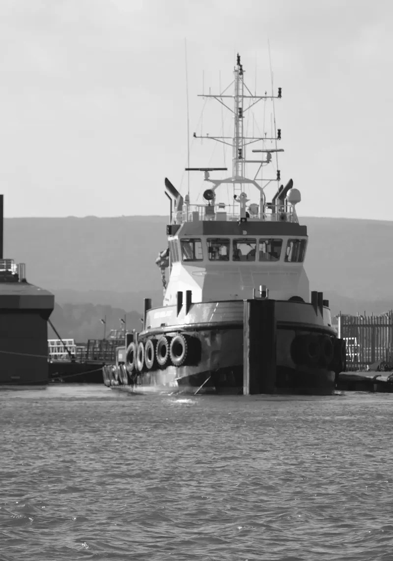 MTS VIGILANT General Cargo IMO 9533969 photo 6
