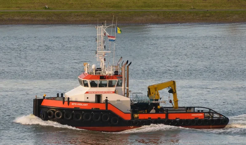MTS VIGILANT General Cargo IMO 9533969 photo 7