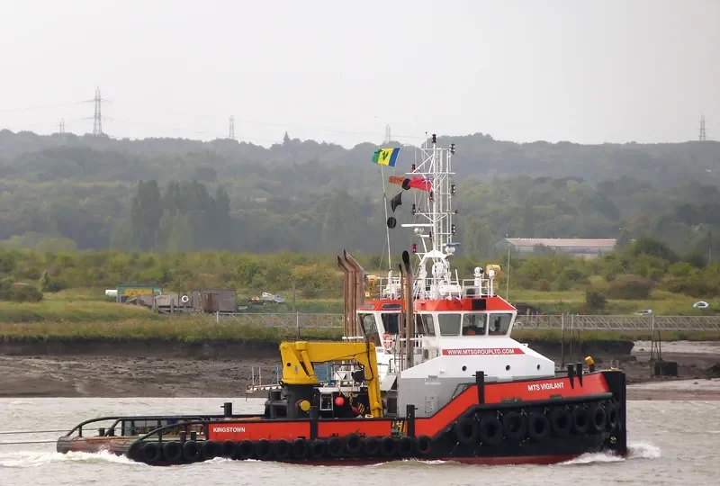 MTS VIGILANT General Cargo IMO 9533969 photo 8