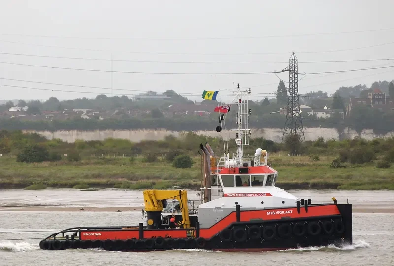 MTS VIGILANT General Cargo IMO 9533969 photo 9