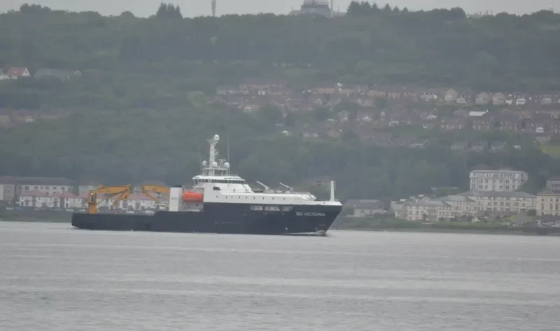 SD VICTORIA Offshore Vessel IMO 9534107 photo 3