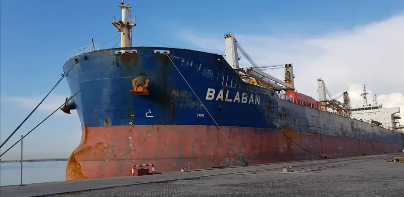 XIN HAI TONG 20 Bulk Carrier IMO 9534145