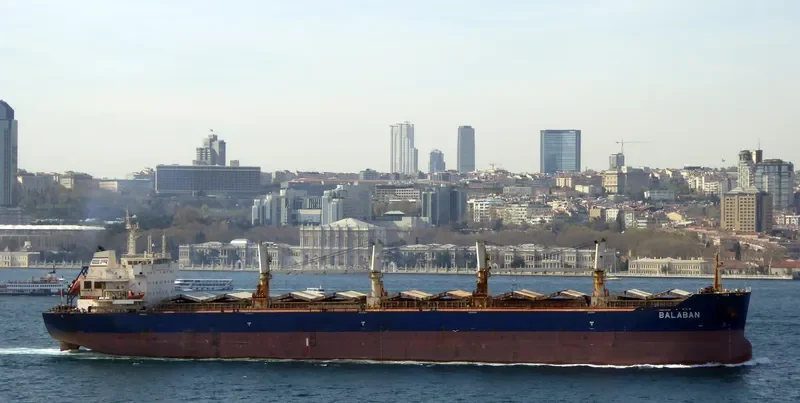 XIN HAI TONG 20 Bulk Carrier IMO 9534145 photo 2