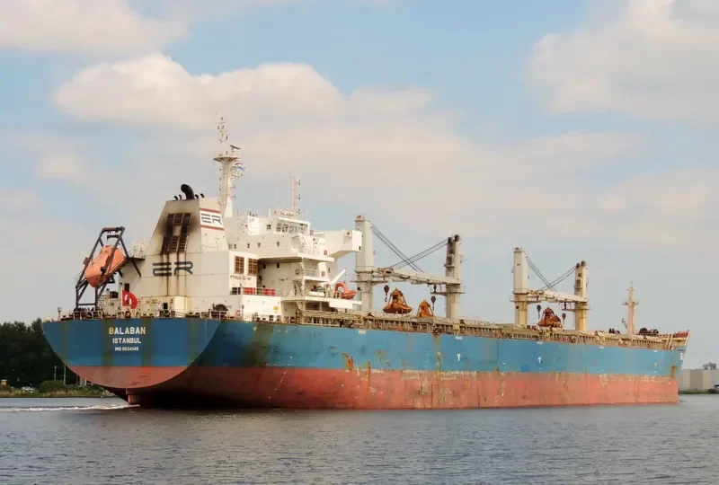XIN HAI TONG 20 Bulk Carrier IMO 9534145 photo 7