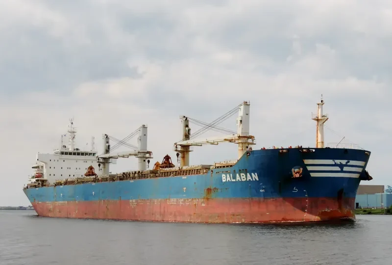 XIN HAI TONG 20 Bulk Carrier IMO 9534145 photo 8
