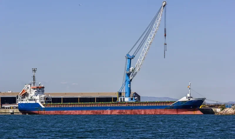 WILSON VALENCIA General Cargo IMO 9534303 photo 8