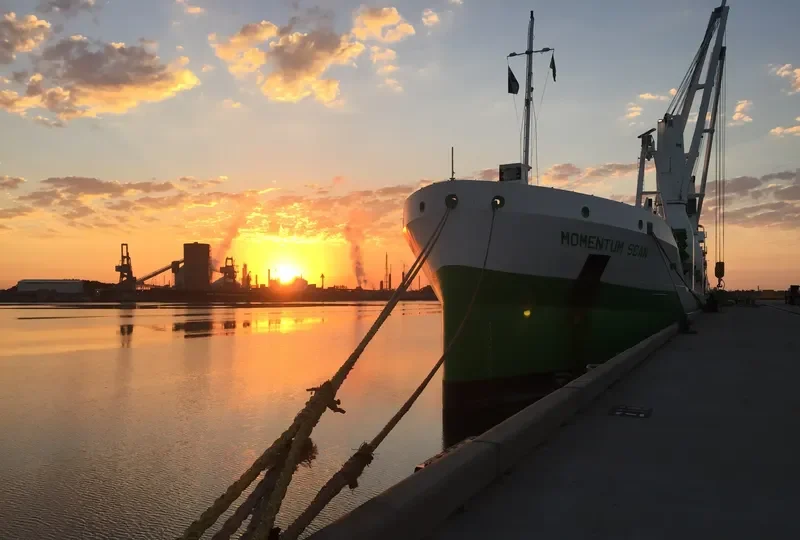 FWN MOMENTUM General Cargo IMO 9534432