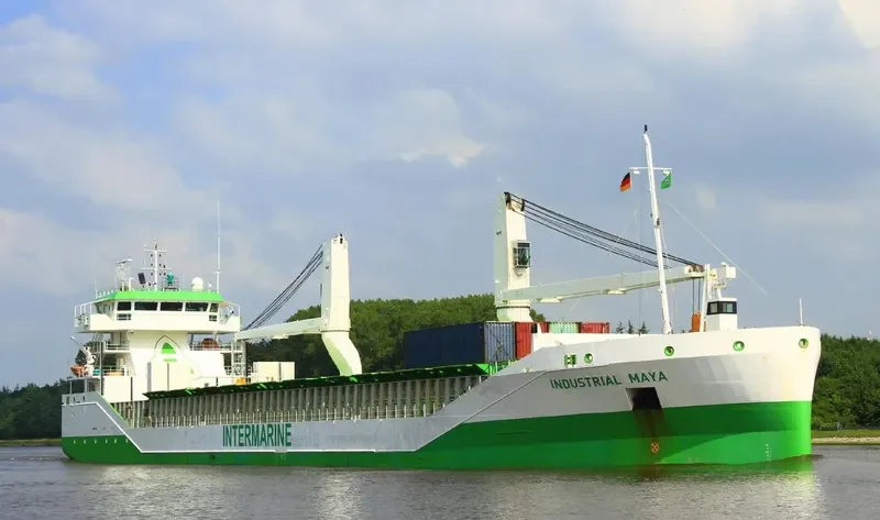 OSLO FOREST 3 General Cargo IMO 9534468 photo 8
