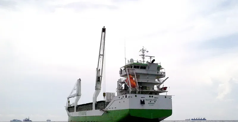 INDUSTRIAL MORE General Cargo IMO 9534482 photo 3