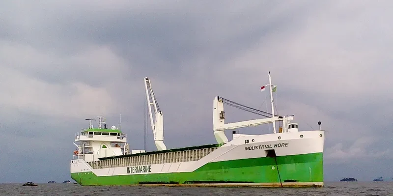 INDUSTRIAL MORE General Cargo IMO 9534482 photo 4