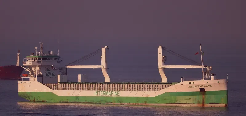 INDUSTRIAL MORE General Cargo IMO 9534482 photo 6
