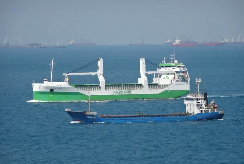 INDUSTRIAL MORE General Cargo IMO 9534482 photo 8