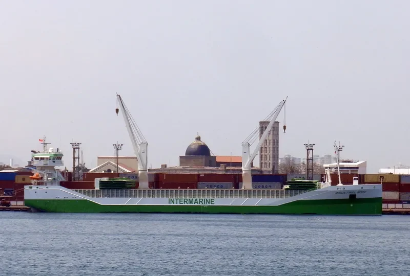 INDUSTRIAL MORE General Cargo IMO 9534482 photo 9