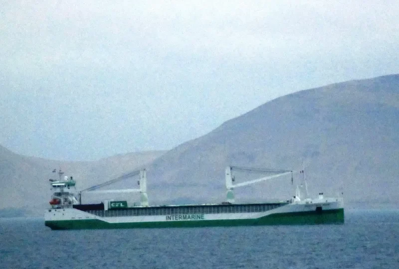 INDUSTRIAL MORE General Cargo IMO 9534482 photo 10