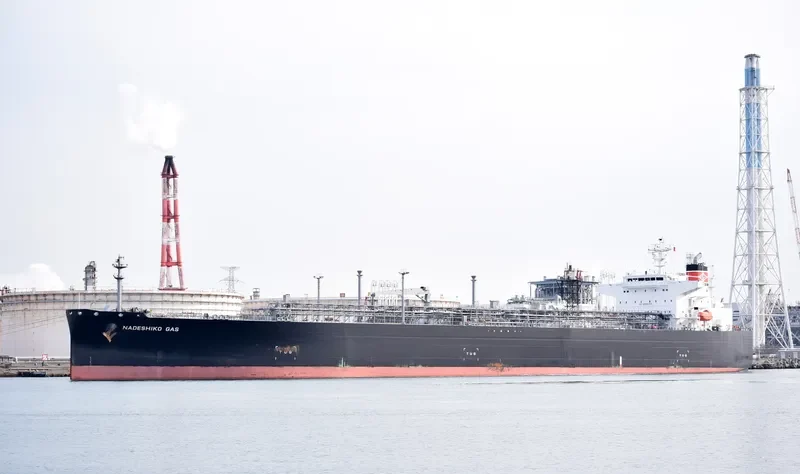 NADESHIKO GAS General Cargo IMO 9534810