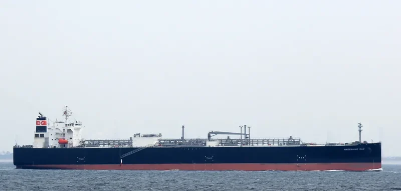 NADESHIKO GAS General Cargo IMO 9534810 photo 4