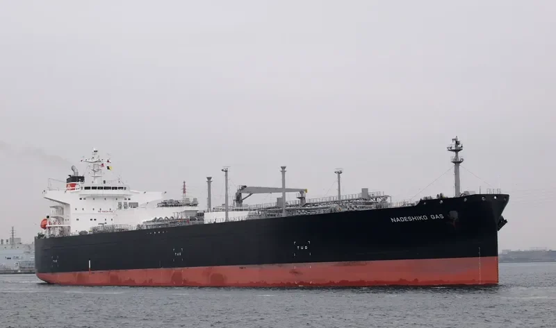 NADESHIKO GAS General Cargo IMO 9534810 photo 6
