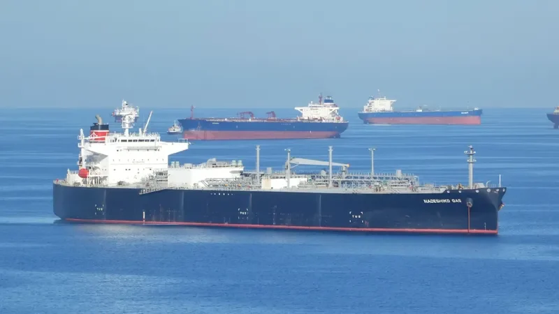 NADESHIKO GAS General Cargo IMO 9534810 photo 10