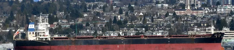 OCEAN ARTEMIS Bulk Carrier IMO 9534987 photo 4