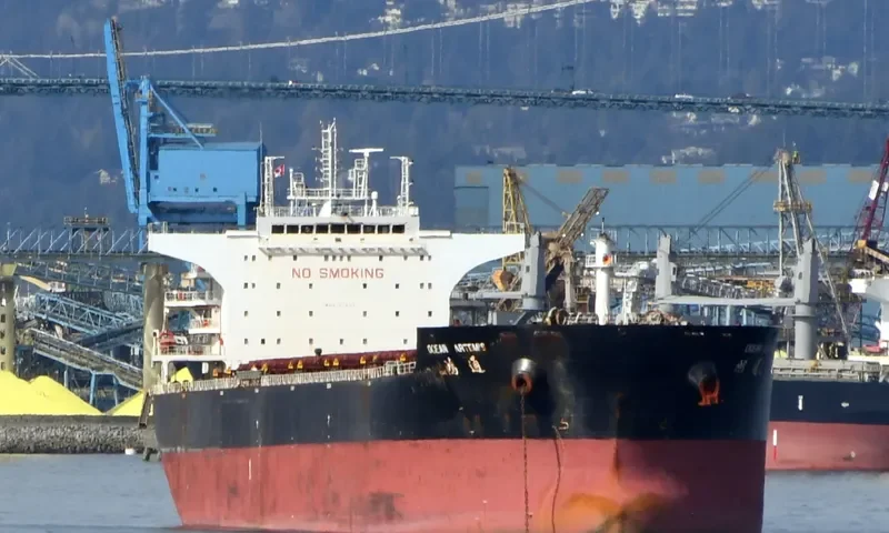 OCEAN ARTEMIS Bulk Carrier IMO 9534987 photo 5