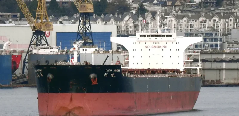 OCEAN ARTEMIS Bulk Carrier IMO 9534987 photo 8