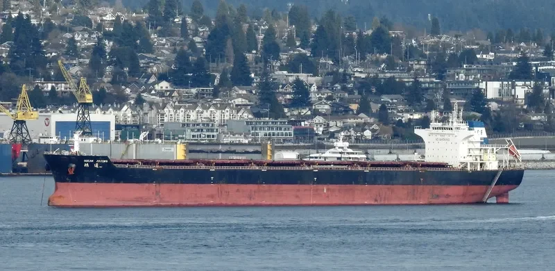 OCEAN ARTEMIS Bulk Carrier IMO 9534987 photo 9