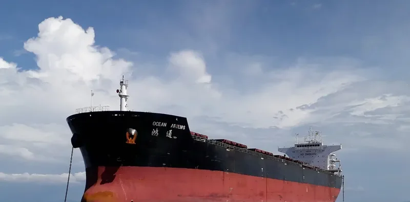 OCEAN ARTEMIS Bulk Carrier IMO 9534987 photo 10